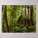 Recherche de écologie posters Nuage