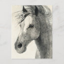 Recherche de cheval abstrait cartes postales Blanc