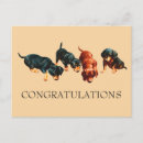 Suche nach vintage wien karten Dachshund