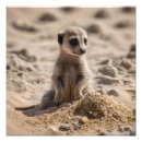 Suche nach meerkats kunst Tierwelt