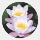 Suche nach wässern sie nicht aufkleber Blume