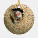 Suche nach frettchen ornamente Weihnachten