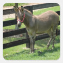Suche nach seltene aufkleber Zebra