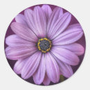 Suche nach tageszeit aufkleber Blume