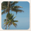 Suche nach belize untersetzer Karibik