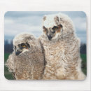Suche nach baby eule mousepads Tier