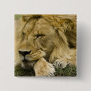 Recherche de mcdonald badges Repos