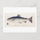 Recherche de saumons cartes postales Bleu