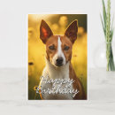 Suche nach basenji hunde postkarten Hundefreund