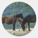 Suche nach wild mustang aufkleber Bob langrish