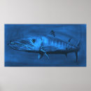 Suche nach der barracuda poster Tiere
