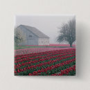 Suche nach rote tulpe buttons Muster