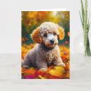 Suche nach apricot karten Welpen