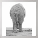 Recherche de éléphant noir et blanc art Mammifère