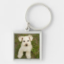 Suche nach pudel schlüsselanhänger Vertikal