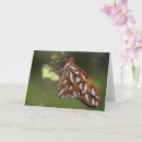 Recherche de macro vœux cartes Blanc