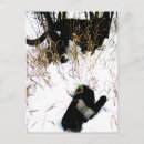 Recherche de conteur cartes postales Enfants