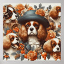 Suche nach cavalier king charles spaniel poster Welpe