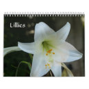 Suche nach lilien kalender Taglilie