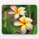 Recherche de maui tapis souris Tropical