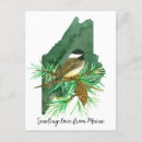 Recherche de pinecone cartes postales Pour tous