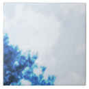 Suche nach ländlich fliesen Blau