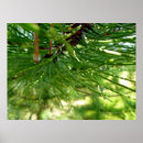 Recherche de aiguilles de pin art Arbre
