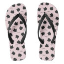 Recherche de chaton tongs Félin