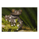Suche nach bedrohte tiere poster Natur