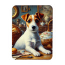 Recherche de jack russel magnets Chiot