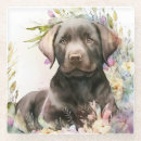 Suche nach brauner labrador Tiere