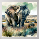 Suche nach bunter elefant poster Generativitätsinhalt