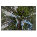 Recherche de sapin planches à découper Vert