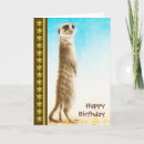 Recherche de meerkat vœux cartes Faune