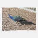 Suche nach fasan geschirr tücher Pfau