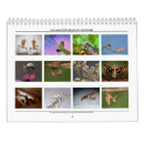Suche nach wandkalender 2016