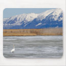 Suche nach schwan mousepads Landschaft