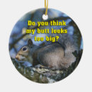 Suche nach lustige eichhörnchen ornamente Spaß