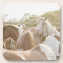 Suche nach herd untersetzer Wild lebende tiere