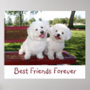 Suche nach lustige beste freundin poster Haustiere