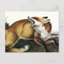Recherche de piège cartes postales Illustration