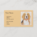 Recherche de beagles cartes visite Dog
