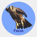 Recherche de falcone autocollants Oiseau