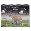 Suche nach känguru kalender Australien
