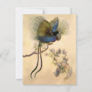 Suche nach paradiesvogel postkarten Aquarell