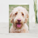 Suche nach lächelnder hund karten Welpe