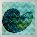 Suche nach turquoise poster Muschel