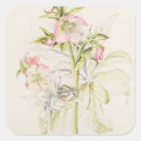 Recherche de hellebore autocollants Botanique