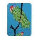 Recherche de oiseau exotique magnets Perroquets
