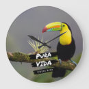 Suche nach vogelbeobachtung kunst Vögel